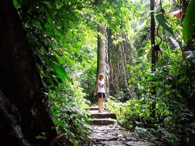 cuc phuong national park- ninh binh vietnam