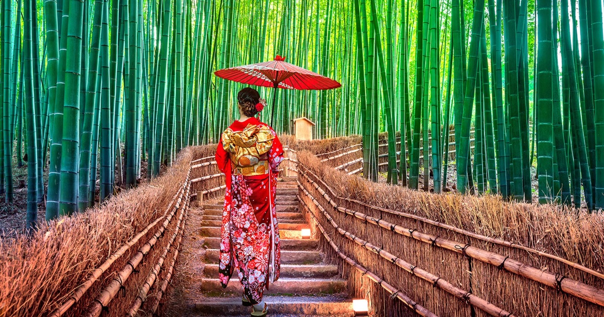 Lạc lối trong rừng tre Arashiyama - niềm tự hào của cố đô Kyoto | Báo Dân trí