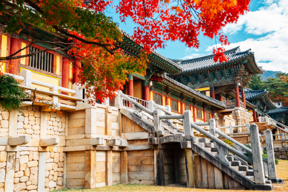 Ngắm phong cảnh mùa thu | Chuyến đi trong ngày đến Đền Kyungju Bulguksa và  Huanglipdanro Khởi hành từ Busan | - KKday
