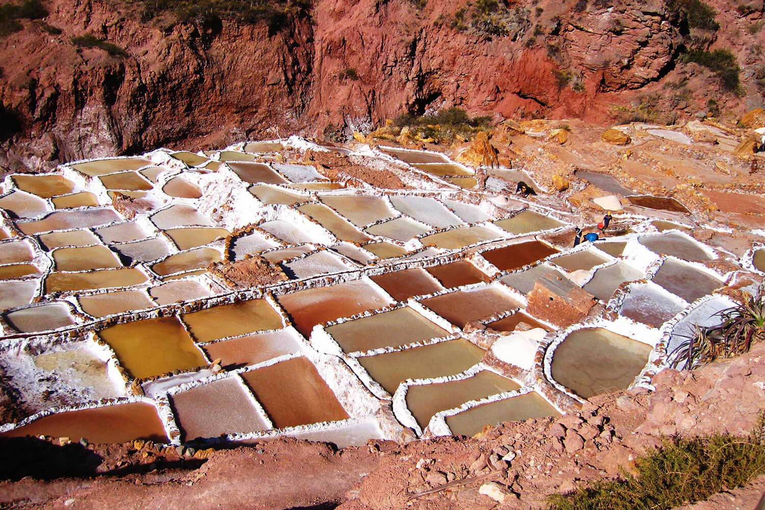 Maras- cánh đồng muối ở Peru đẹp đến ngỡ ngàng - Tổng hợp tin tức 24h