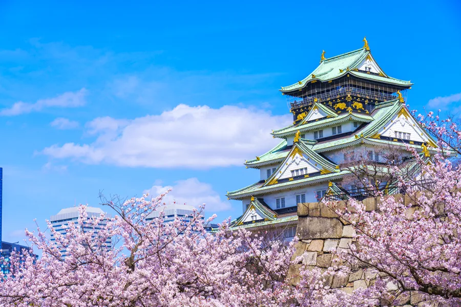 Lâu Đài Osaka - Ngắm Hoa Anh đào Tại Thành Cổ Osaka Castle