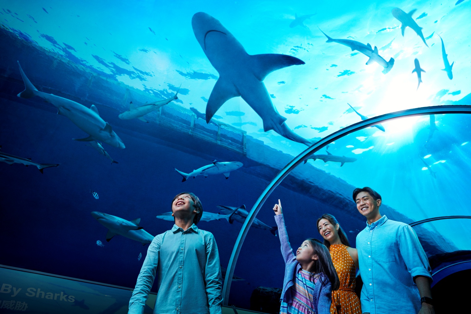 Vé Thuỷ cung SEA Aquarium Singapore 2025 giá tốt nhất