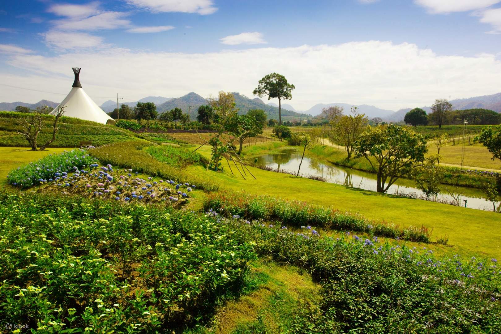 Tour Thung Lũng Nho PB và Nếm Rượu Vang ở Khao Yai, Thái Lan - Klook Việt  Nam