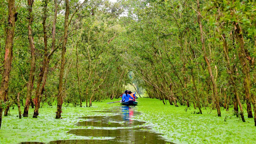Tra Su Sanctuary Forest in An Giang, Vietnam | Mekong Delta Attractions