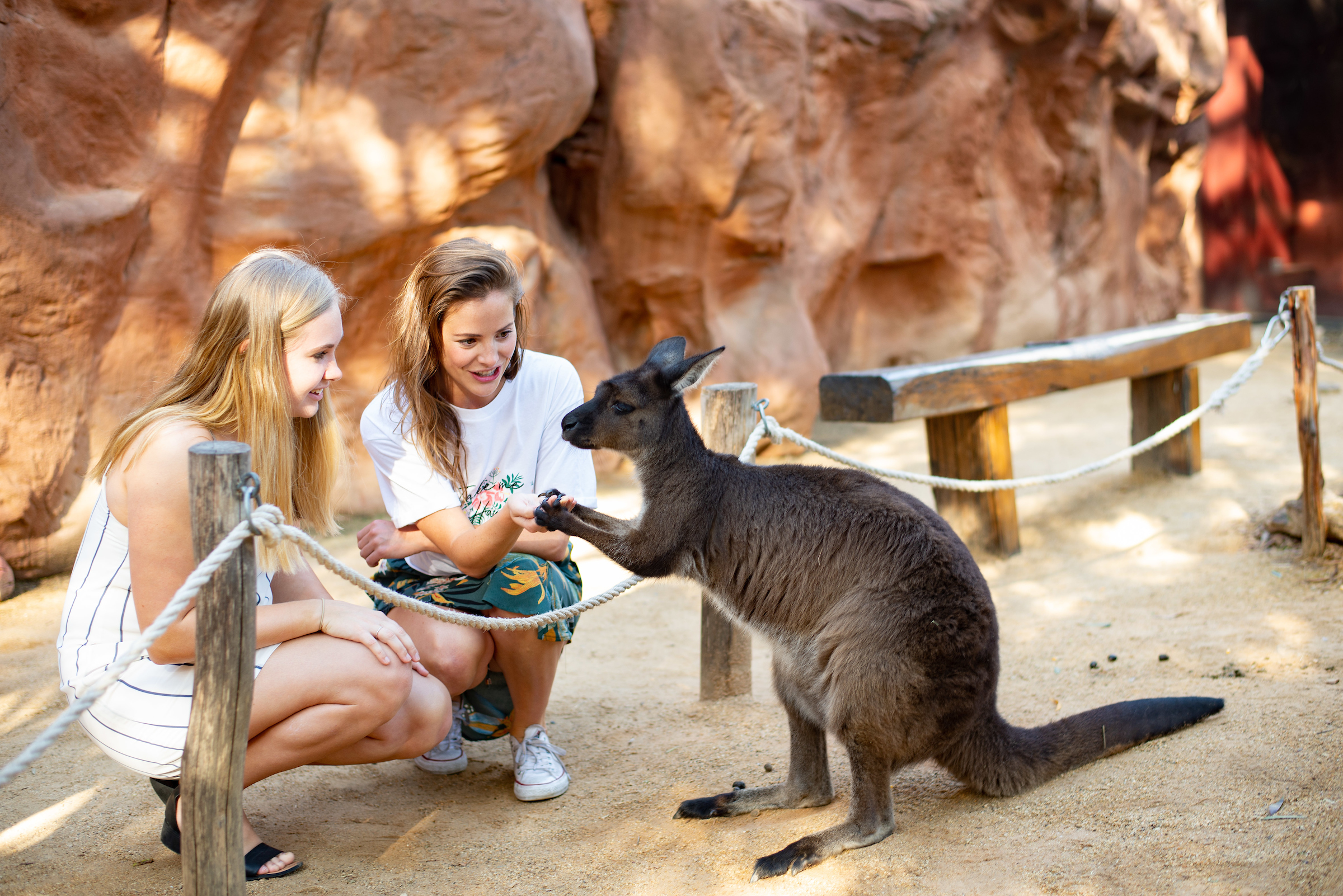 WILD LIFE Sydney Zoo Tickets - Giá tốt nhất tại Traveloka