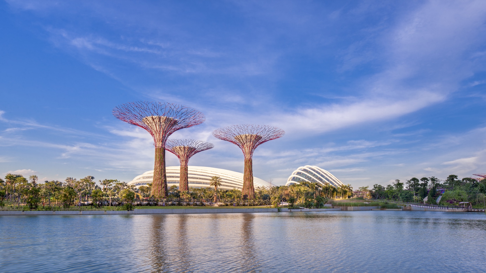 Gardens by the Bay | Singapore Sky Garden – Visit Singapore Trang Chính Thức