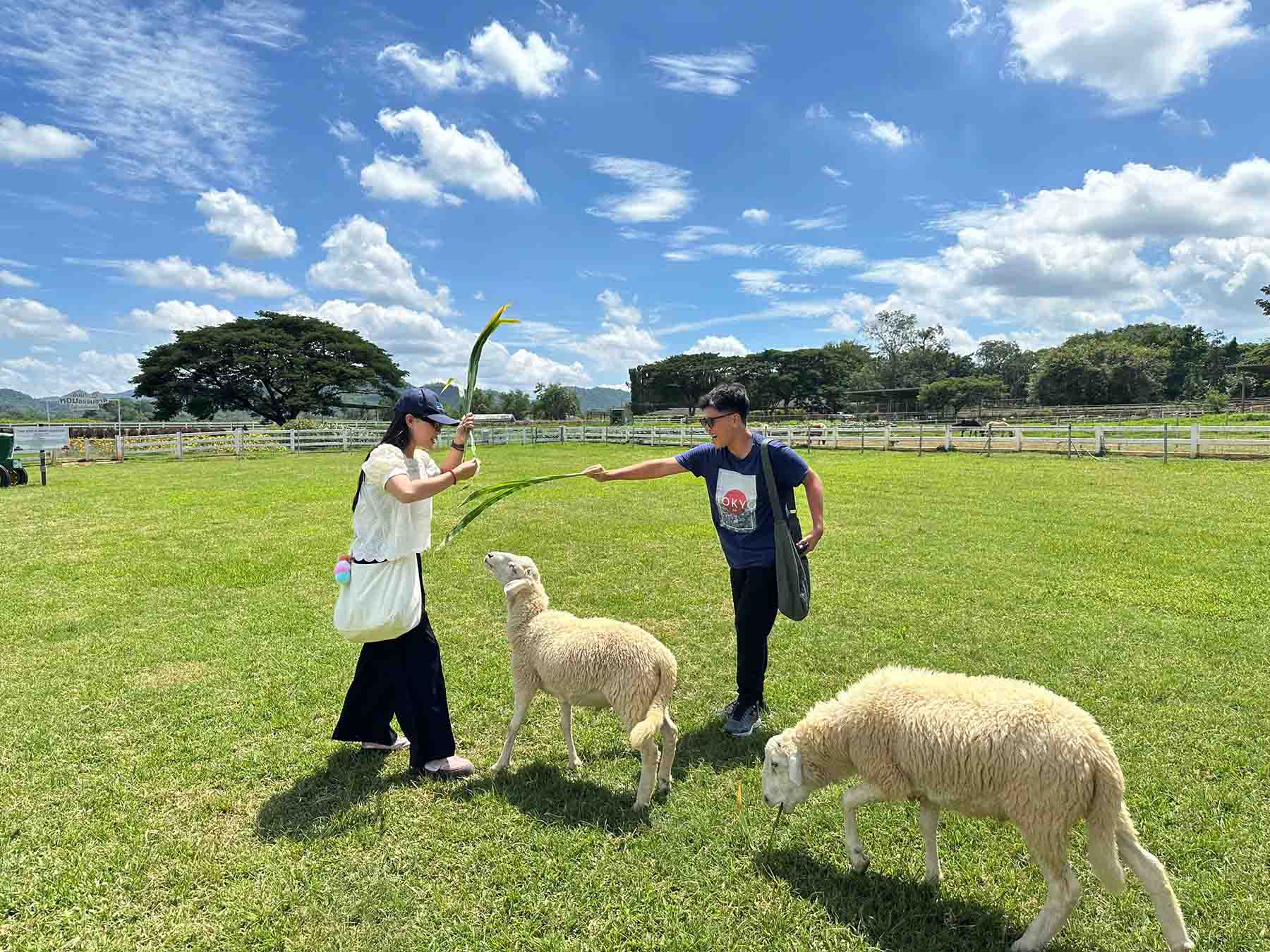 Chơi gì khi đến Khao Yai, Thái Lan?