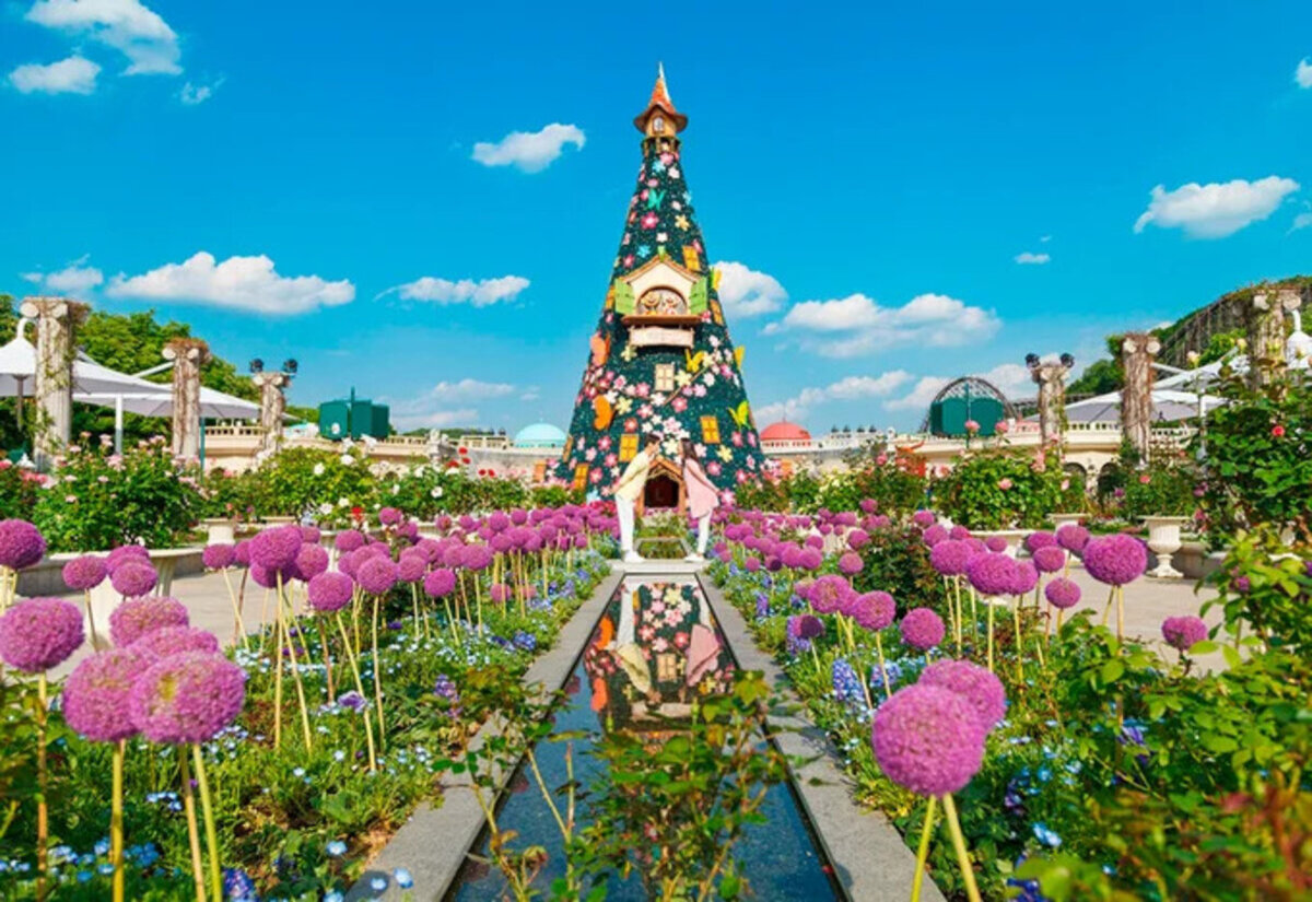 HÀ NỘI – SEOUL – NAMI – EVERLAND