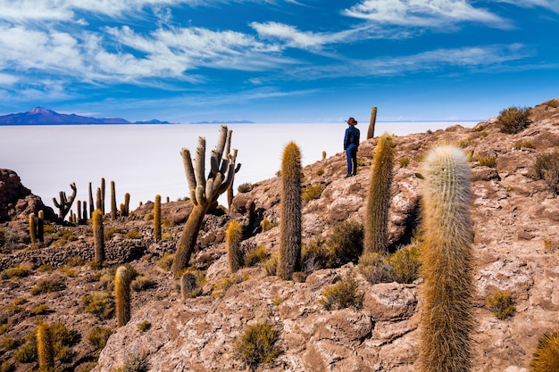 Grandes cactus en la isla Incahuasi salar Salar de Uyuni Altiplano Bolivia | Foto Premium