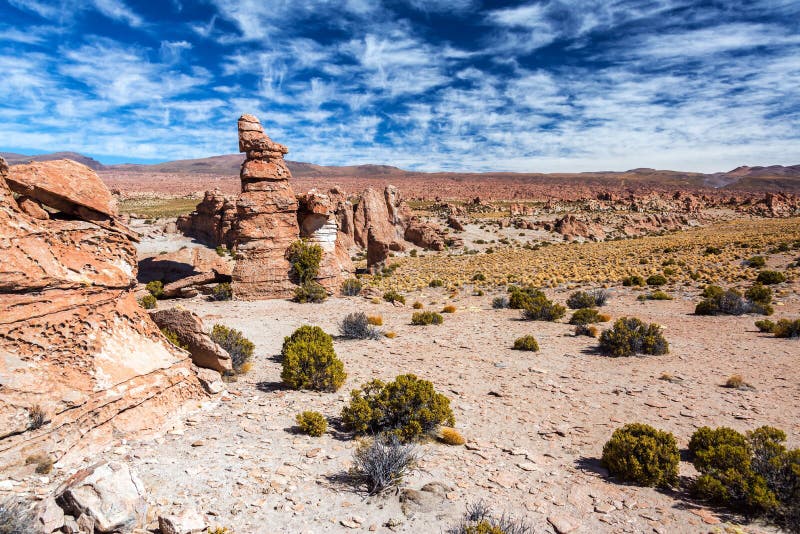3,312 Valle En Altiplano En Bolivia Fotos de stock - Fotos libres de regalías de Dreamstime