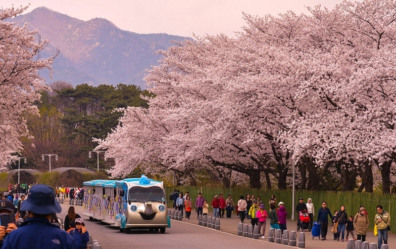 Tổng hợp những điểm đến nổi tiếng không thể bỏ qua ở Yeouido Dong