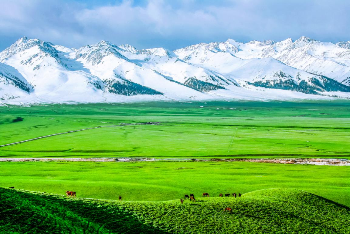 那拉提景区旅游推介走进阿勒泰-天山网- 新疆新闻门户